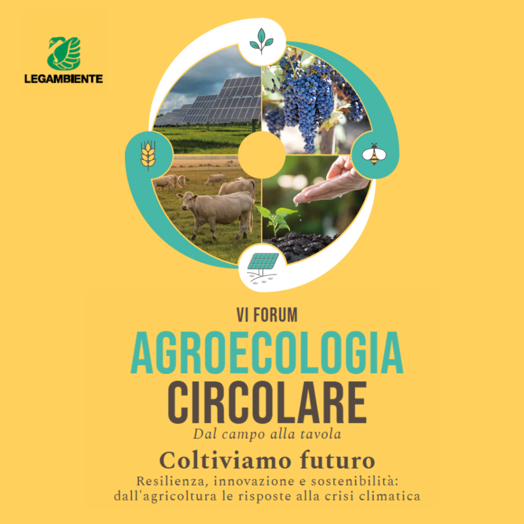 Dal campo alla tavola, coltiviamo futuro.
Resilienza, innovazione e sostenibilità sono i temi al centro della sesta edizione del Forum di Legambiente dal titolo “Agroecologia circolare dal campo alla tavola”. 
Appuntamento a Roma, il 20 novembre 2024, presso Spazio Sette Libreria in via dei Barbieri 7.